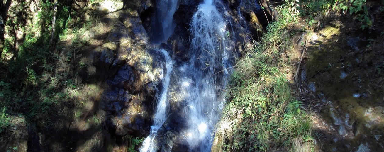 La Guacamaya Waterfall Oaxaca Mexico