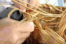 basketmaking oaxaca Mexico